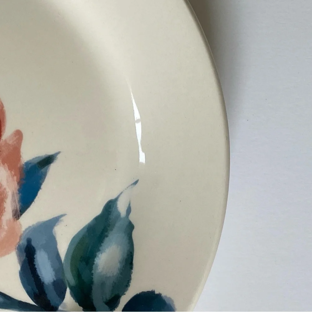 Pier 1 Imports Hummingbird Plate Ceramic 8.75” Lunch Decor birds Ruby Throated